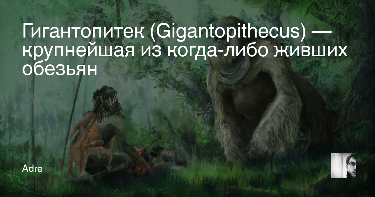 Гигантопитек (Gigantopithecus) — крупнейшая из когда-либо живших ...