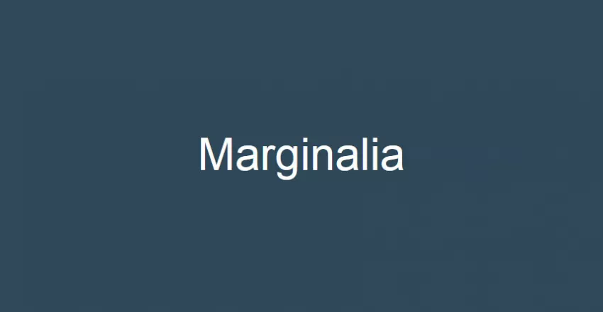 Marginalia становится открытым исходным кодом